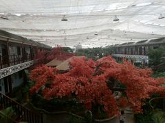 android_upload_pic-老山东·山东菜(鲁菜名店)