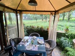 露天位-野蔓果·山野菜(西湖景区·龙井茶田店)