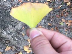 -昆山城市生态森林公园