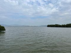 -深圳湾公园(南山区)