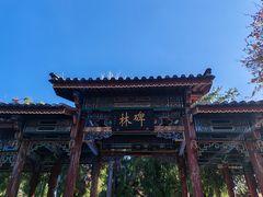 -总统兵马大元帅府