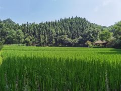 -常德桃花源景区