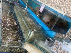 -港畔赶海蒸汽海鲜烧烤自助(仙螺岛店)