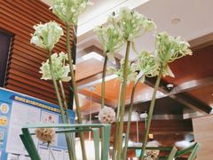 -温州喜来登酒店-盛宴西餐厅