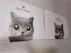 -梵猫·新养生(湛江鼎盛店)