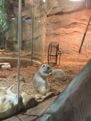 -Zoolung Zoolung动物主题公园(海信广场店)