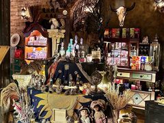 -雪灵魔法世界SHELLY’S TAROT(大良桂畔里店)
