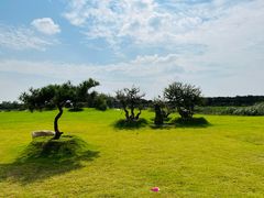 -江苏三台山国家森林公园