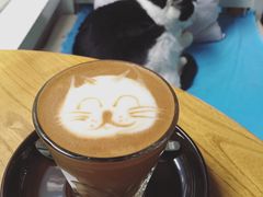 -Anne猫窝咖啡屋