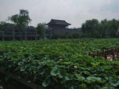 -大明幻境第一城