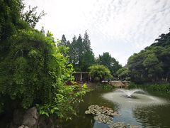 -郑和公园