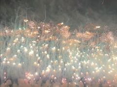 -南宁花花大世界景区