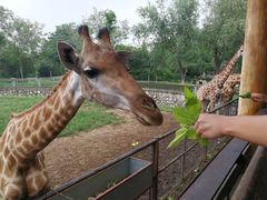 -石家庄市动物园