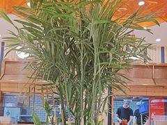 -三江源活鱼现烤(维多利摩尔城店)