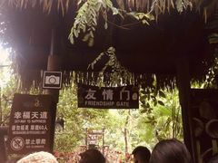 -呀诺达热带雨林