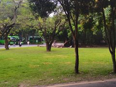 -深圳仙湖植物园