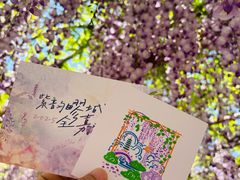 -嘉定紫藤园