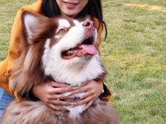 -上海神旺大酒店