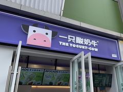 -一只酸奶牛(春熙路店)