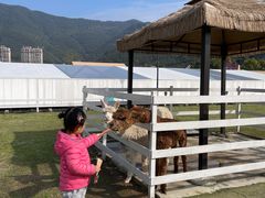 -宁波九龙湖开元度假村