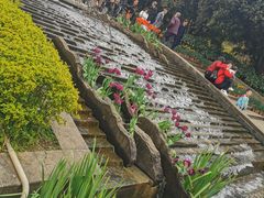 -南山植物园