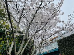 -上方山森林动物世界