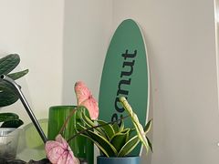 -花生咖啡 peanut coffee