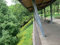 -西湖风景区-江洋畈生态公园