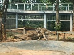 -昆明动物园