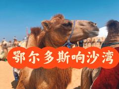 -达拉特旗响沙湾旅游区