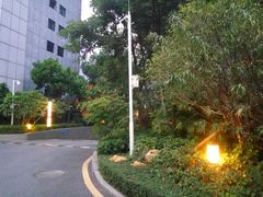 -深圳温德姆至尊酒店·大堂吧·户外花园