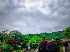 -岳麓山风景名胜区