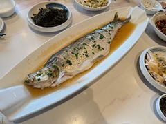 清蒸白水鱼-壹只菜·崇明本地特色菜(崇明南门店)
