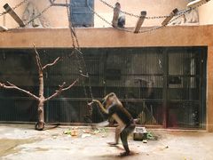 -石家庄市动物园