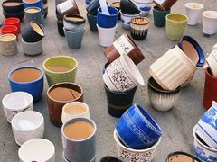 -哈尔滨道外花鸟鱼市场