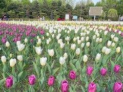 -长春公园(普阳街道)