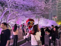 -西北湖绿化广场