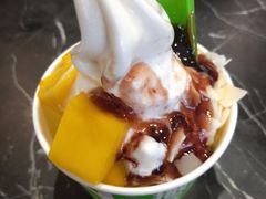 -Salud撒露欧洲冻酸奶(五道口购物中心店)