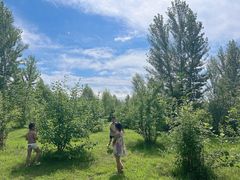 -呼兰河口湿地公园