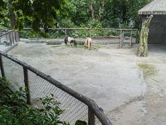 -广州动物园