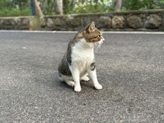 -云龙山