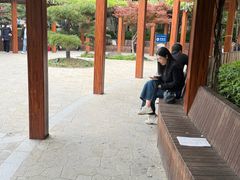 -徐家汇源景区-衡山公园