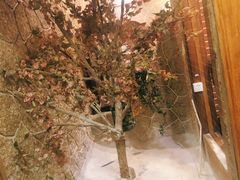 -老船夫婚宴婚庆会馆(延吉路店)