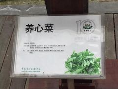 -上海多利农业发展有限公司