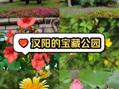 -汉水公园