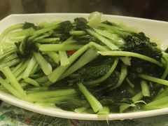 -泸沽肴(泸沽湖大洛水村农村信用社旁店)