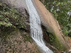 -六里坪国家森林公园