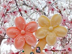 -桃花堤公园