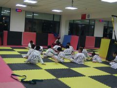 -金翼跆拳道巴西柔术拳击格斗学院