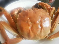 -黄记大闸蟹专卖店·活蟹·醉蟹